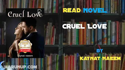 Cruel Love Novel