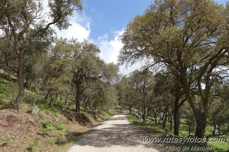 El Bujeo - Pista de la Algamasilla - Puerto de la Higuera - Río Guadalmesí