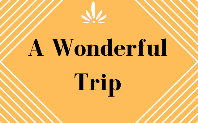 A wonderful Trip