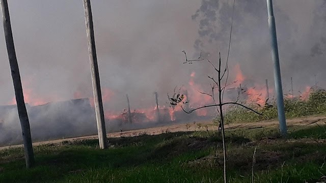YUQUERI CHICO: Gran incendio en un aserradero