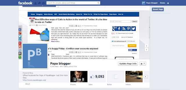 PapaBlogger Facebook Fan Page