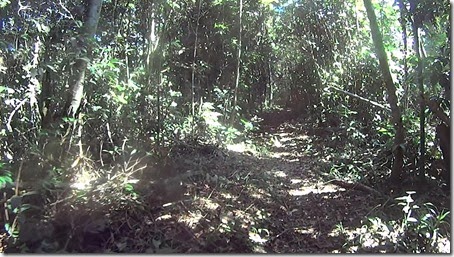 MAH01075.MP4_000007707