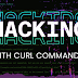 Hacking with cURL Commands