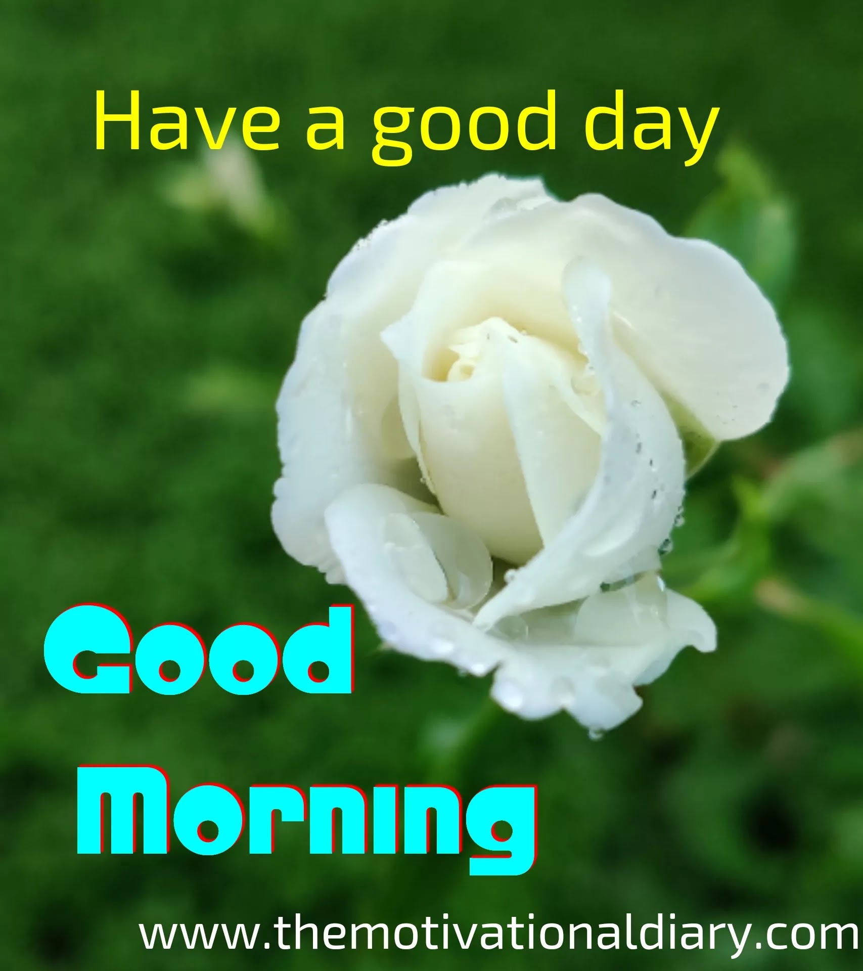 good-morning-image-quotes-the-motivational-diary-ram-maurya