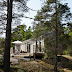 A Timber Swedish Cabin Surrounded by Woodland