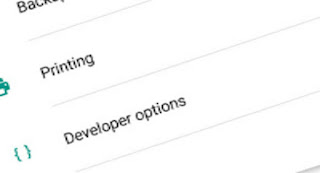 Developer Options