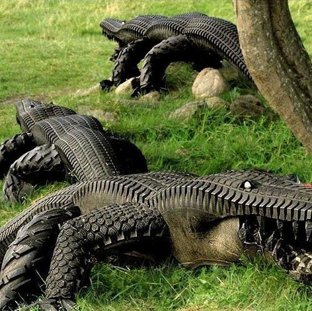 crocodile tires