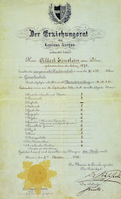 Certificado de notas Albert Einstein