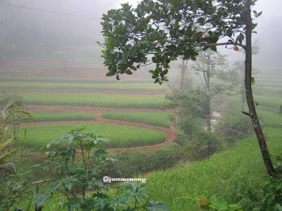 pedesaan menuju situs gunung padang