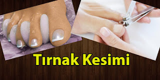 tırnak nasıl kesilmeli