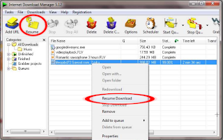 Cara Resume Download IDM Yang Gagal, cara melanjutkan download yang terputus, tanpa download dari awal, resume download IDM