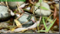 20140812_095858_024_No4park
