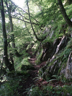 El sendero cerca de la Güeya de Les Oveyes