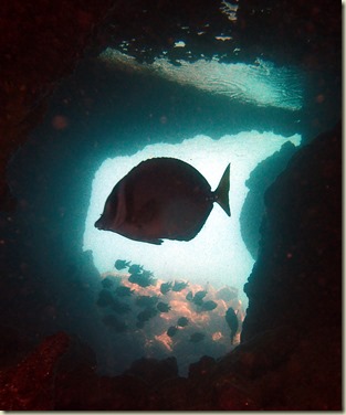 tunnelsP2210059