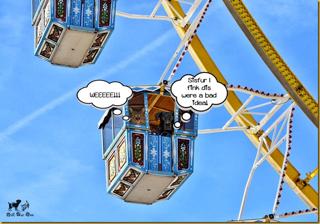 Matt & Matilda on Ferris Wheel Memorial Day post (©Bell Fur Zoo)