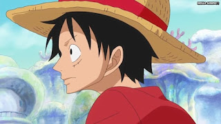 ワンピースアニメ 魚人島編 528話 ルフィ Monkey D. Luffy | ONE PIECE Episode 528