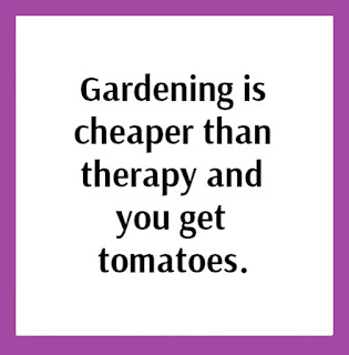 Humorous and heart-warming gardening quotes that can give you motivation and inspiration for creating a garden