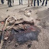 Graphic photos from the scene of the suicide attack in Maiduguri