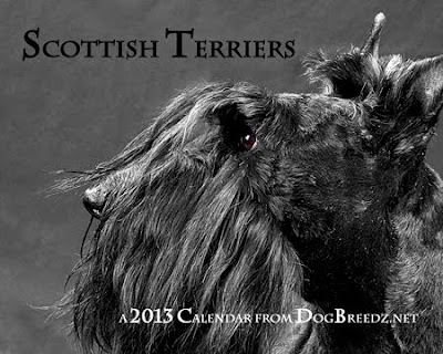 2013 Wall Calendar from DogBreedz.net featuring Scottish Terriers