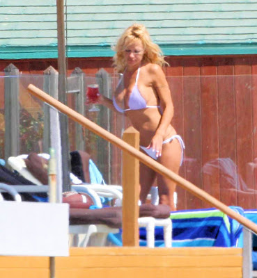 Pamela Anderson At Malibu Beach Tanning