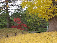 Autumn de Forest Photos