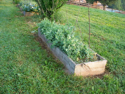 Raised Garden Beds Railroad Ties on Curtis And Kaye Absher  Raised Bed Gardening