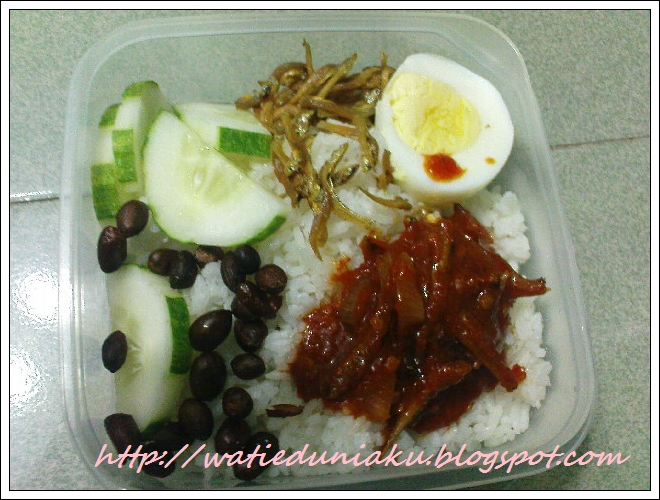 DUNIA WATIE: Menu tghhari syNasi Lemak & Sambal Tumis 