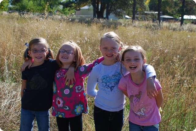 Apple Picking (109)