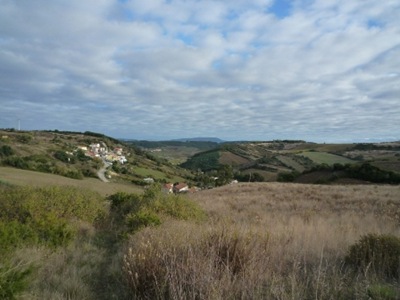 P1050923