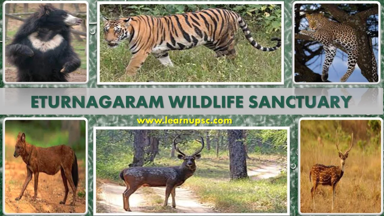 Eturnagaram Wildlife Sanctuary