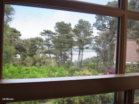 View of Tomales Bay out the window