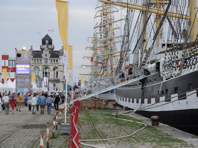 Antwerpen - grote schepen in de Schelde - de Tall Ships Race editie 2016