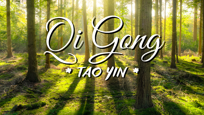 QiGong *TAO YIN*