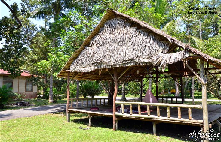 oh FISH iee Kampung Sightseeing River Cruise Pulai 