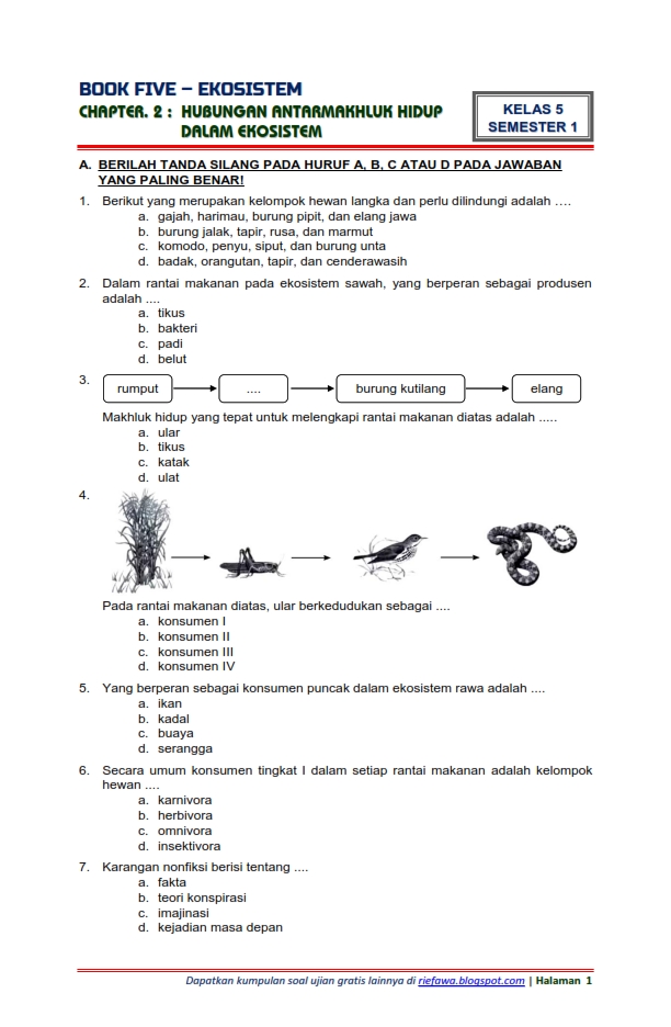 Download Soal Tematik Kelas 5 Semester 1 Tema 5 Subtema 2 