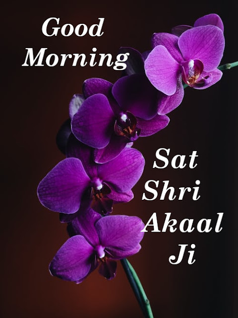 Sat Shri Akaal Ji Good Morning