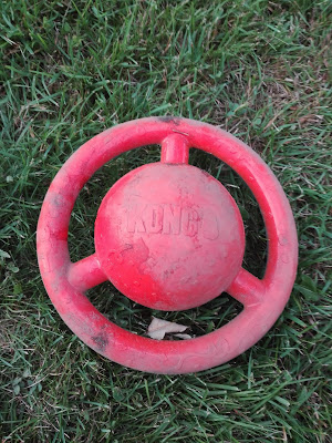 jumbler shapes disc