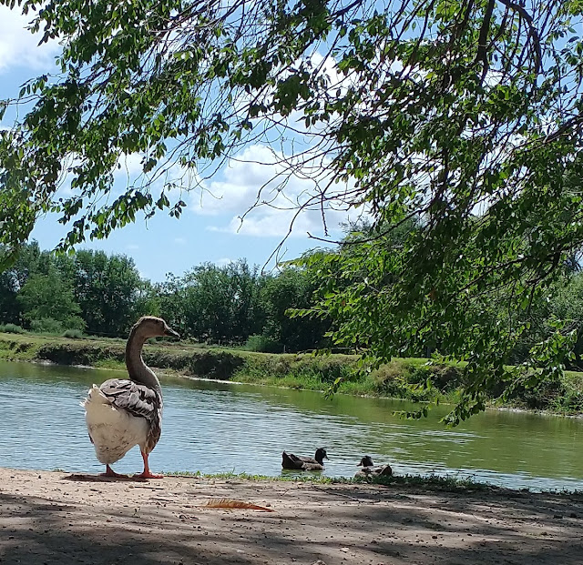 Gillham Park in Brownfield, Texas. August 2021. Credit: Mzuriana.