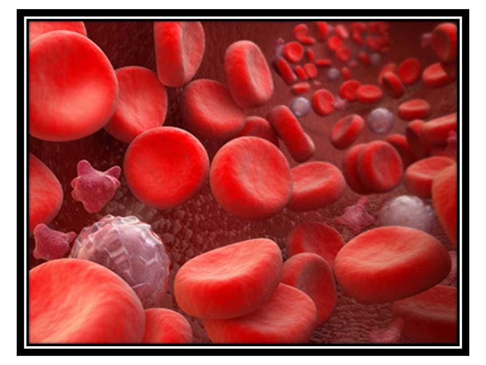 MUN: Anemia en perros