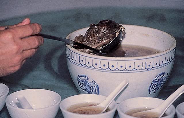Sup bayi manusia di China - BERITA HARIAN ONLINE