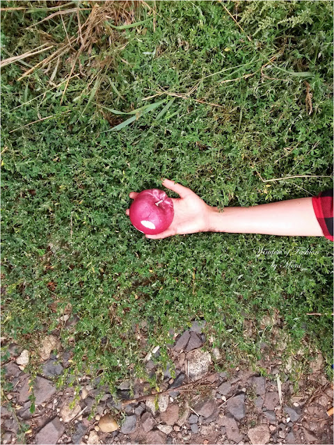 Ręka i jabłko