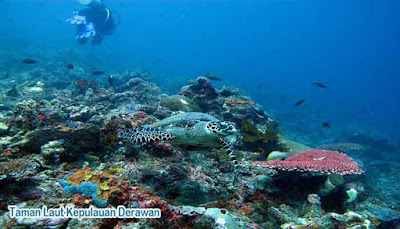 Derawan Islands Marine Park