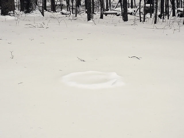 dust from texas falls on minnesota blizzard april 2019