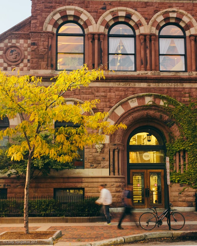 Portland, Maine USA October 2017 photo by Corey Templeton. A little bit of autumn color in front of the Baxter Building (current home of The VIA Agency) on Congress Street.