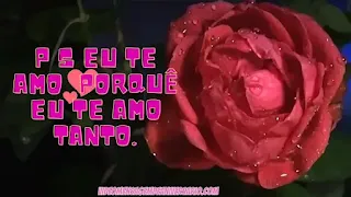 P S Eu te Amo, Porquê Eu te Amo Tanto.