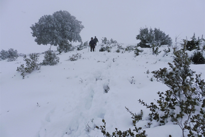 Descenso de Armikelo