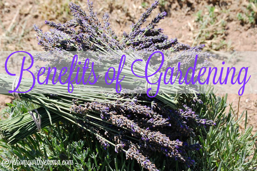 tips-health-benefits-gardening-Jemma