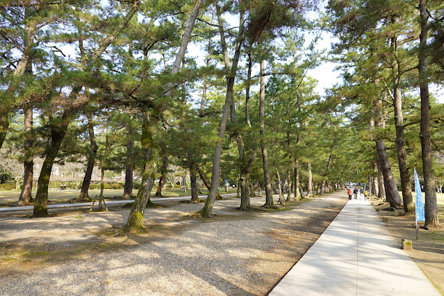 島根県出雲市大社町杵築東 出雲大社