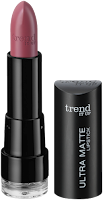 Preview: Die neue dm-Marke trend IT UP - Ultra Matte Lipstick 020 - www.annitschkasblog.de