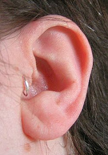 tragus ring